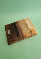 Crystal Storm (Falling Kingdoms 5) thumb 1 5