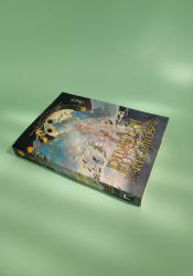 Dinghai Fusheng Records (Novel) Vol. 2 thumb 2 3