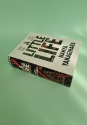 A Little Life thumb 1 3