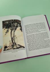 The Faerie Handbook: An Enchanting Compendium of Literature, Lore, Art, Recipes, and Projects thumb 1 5