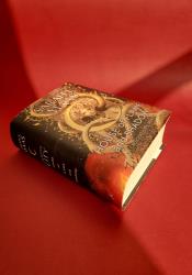 House of Flame and Shadow  (Crescent City #3) thumb 2 5