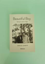 Beautiful Boy: A Father's Journey Through His Son's Addiction thumb 2 2
