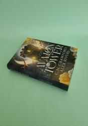 Avalon Tower (Fey Spy Academy Book 1) thumb 1 3