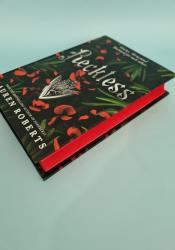 Reckless Book 2 thumb 2 8