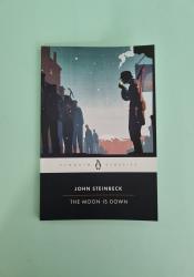 The Moon Is Down thumb 1 2