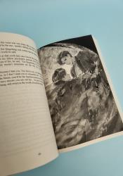 Case File Compendium: Bing An Ben (Novel) Vol. 4 thumb 2 7