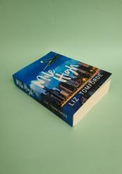 Mile High (Windy City Series Book 1) thumb 2 3
