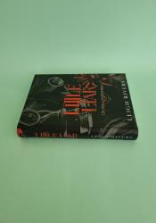 Little Liar (The Web of Silence Duet 2) thumb 1 4