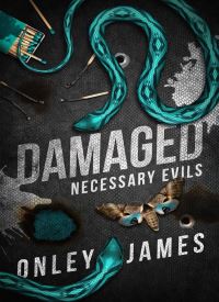 Damaged (Necessary Evils 4)