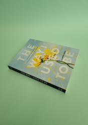 The Way I Used to Be The Way I Used to Be thumb 2 3