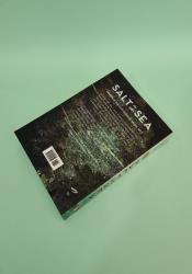 Salt to the Sea thumb 1 4