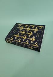 Great Expectations thumb 2 3