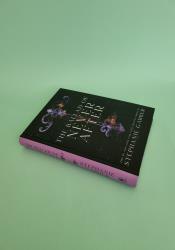 The Ballad of Never After (Once Upon a Broken Heart 2) thumb 1 3