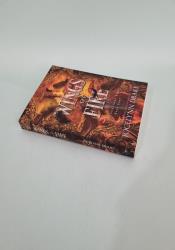 Wings of Fire (Godstone Saga 4) thumb 1 3