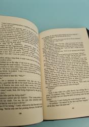A Shadow in the Ember (Flesh and Fire 1) thumb 2 6