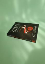 The Vampire Diaries The Return: Shadow Souls Book 6 thumb 2 3