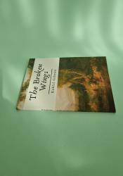 The Broken Wings The Broken Wings thumb 2 4