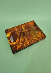 Wings of Fire (Godstone Saga 4) thumb 1 5