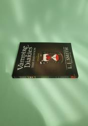 The Vampire Diaries: The Salvation: Unseen: Book 11 The Vampire Diaries: The Salvation: Unseen: Book 11 thumb 2 4