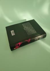 In the Shadow of Young Girls in Flower (In Search of Lost Time Vol 2) thumb 2 5