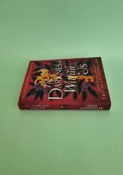 The Darkness Within Us (The Shadows Between Us Book2) thumb 2 4