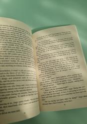 Bungo Stray Dogs Vol. 2 Bungo Stray Dogs Vol. 2 thumb 2 5