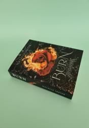Burn (Foolish Kingdoms 3) thumb 1 3