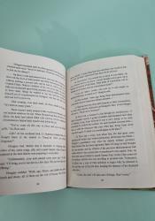 Legend of Exorcism: Tianbao Fuyao Lu (Novel) Vol. 3 thumb 1 7