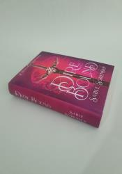 Direbound: A Dark Romantasy (The Wolves of Ruin Book 1) thumb 2 3