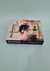 The Beginning After The End: Transcendence, Book 6 thumb 1 4