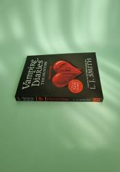 The Vampire Diaries: The Hunters: Phantom: Book 8 thumb 2 4
