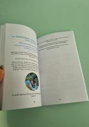 Zen: The Art of Simple Living thumb 2 7