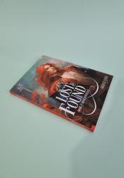 Lost & Found (Silk and Steel 3.5) thumb 1 3