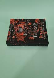 The Bond That Burns (Bloodwing Academy Book 2) thumb 2 4