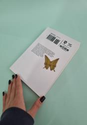 Bungo Stray Dogs 16 thumb 1 4