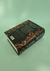 The Wise Mans Fear (The Kingkiller Chronicle Book 2) thumb 1 5