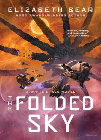 The Folded Sky (White Space 3)