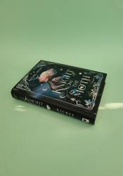 The Knight and the Moth (The Stonewater Kingdom 1) thumb 1 3