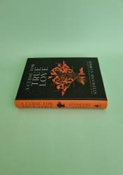 A Curse for True Love (Once Upon a Broken Heart #3) thumb 1 4