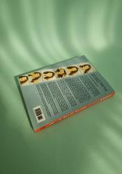 Talking as Fast as I Can: From Gilmore Girls to Gilmore Girls thumb 1 5