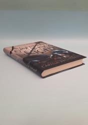 The Serpent and the Wings of Night (Crowns of Nyaxia Book 1) thumb 2 6
