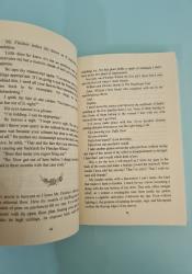 My Feral Romance (Fae Flings and Corset Strings 2) thumb 2 6