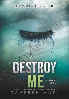 Destroy Me (Shatter Me 1.5)