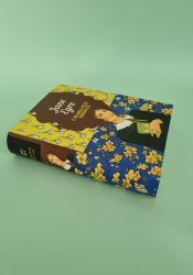 Jane Eyre (The Sisterhood) thumb 1 3