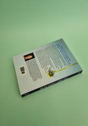 The Way I Used to Be thumb 1 4