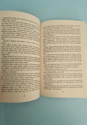 The Red Scrolls of Magic (The Eldest Curses 1) thumb 2 6
