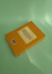 Emily Climbs (The Emily Trilogy Book 2) thumb 2 5