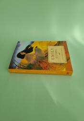 Emily Climbs (The Emily Trilogy Book 2) thumb 2 4