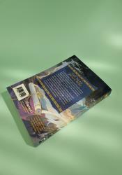 Dinghai Fusheng Records (Novel) Vol. 2 thumb 2 4