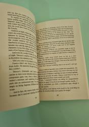 The Irregular at Magic High School, Vol. 13 (light novel) thumb 1 6